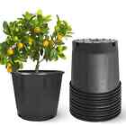 Duty Heavy Large Premium Plant Pot 1 2 3 5 7 10 15 Gallon Plastic Nursery Pots