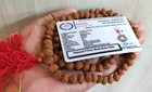 9 Mukhi Rudraksha Mala Durga Shakti Mala 109 Beads Lab Certified
