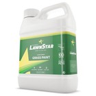 Grass Paint Concentrate  500-1 000 Sq Ft  - For Dormant  Patchy Or Faded Lawn   
