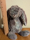 Jellycat Bashful Woodland Babe Bunny Plush Medium 12    Brown Rabbit Well Loved
