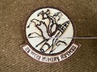 Usaf Pilot Flight Suit Patch   157th Fighter Squadron   Desert  