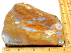 1 Thick   Fabulous Orange Jaster agate7 1 Ounces Free Ship 1st Pic Wet  3695