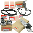 Oem Timing Belt   Water Pump Kit For Acura Mdx Accord Odyssey 3 5l V6 New