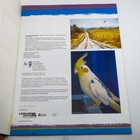 You Can Draw With Colored Pencils Leisure Arts 2006 Illustrated Art Book