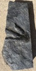 Nice Robust Bargain Jurassic Dinosaur Footprint Raised Relief Fossil Track 