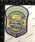 D c  Metropolitan Police Intelligence Branch Gang Unit Patch Pd13