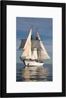 12x16 Picture Frame Black  Display Pictures 8 5x11 With Mat Or 12x16 Without Mat