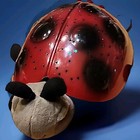 Cloud B Ladybug Twilight Star Projector Baby Nursery Night Light Original