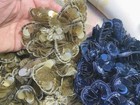 Applique Beads Paillettes 3 75  Round Flowers Scallop Petals Hand Sewn 1pc