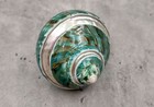 Polished Jade Turbo Shell With Pearlized Stripe  1 Shell Approx  2 5  Inches 