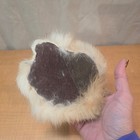 Realistic Lifelike Sleeping Cat Kitten Kitty Furry White   Buff Bicolor Soft 5 