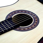 38  Beginners Acoustic Wooden Guitar With Guitar Case strap tuner  Pick Portable