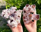 Natural Barnacle Clusters - Choose Your Size - Coastal Decor   Nautical Display