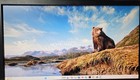 Dell E2016h 20    1600 X 900 Widescreen Led Lcd Monitor 16 9 Vga Dp W  Usb Speaker