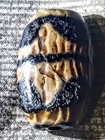 Authentic Ancient Tibetan Old Agate Double Tiger Tooth Phum Dzi Bead 31 19 12mm