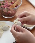 Household Double Head Automatic Dumpling Maker Mould Dumpling Wrapper Tools Usa 