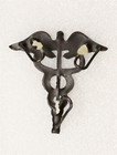U s  Army Saddlecloth Badge  chevrac 112  - Medical Corps