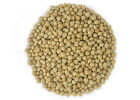 Usa Grown Organic Garbanzo Beans  chickpeas  Kabuli  chana  Raw non-gmo kosher