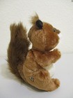 Webkinz Red Squirrel -hm404 New  Sealed  Unused Code