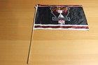 Cfl Football Vintage 1996 Hamilton Host Grey Cup Flag