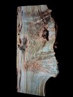 Xl Wicked Wormy Ambrosia Maple  Burl Wood Slab Craft turning Wood Epoxy Wood 