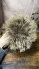 Vintage Bavarian Chamois Beard 18 5cm Metal Holder Stag Deer Motif Alpine