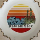 Vintage Retro New Mexico 8  Decorative Souvenir Porcelain Plate
