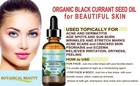 Black Currant Seed Oil  100  Pure Natural Undiluted Refined Cold 0 5 Fl Oz