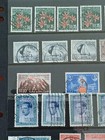 Collection Of  From Ceylon Old World 
