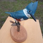 Ed   Judy Green Hand-carved Bird Hand-painted Female Belted Kingfisher