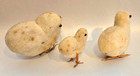 Lot Of 3 Antique Early Cotton Batting Chicken Hens Figures Easter  2 