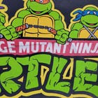 Vtg 80s Tmnt Teenage Mutant Ninja Turtles Zipper Duffle Bag 1989 Mirage Suitcase