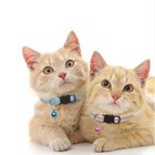 Reflective Nylon Cat Safety Collar With Bell For Cat Kitten Small Dog Adjustable