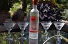 4 Vintage Etched Cocktail   Martini Glasses  Bryce  1960 s  Mid Century Barware
