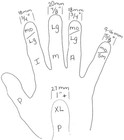 Patented Alaska Pik  pick  Guitar Banjo Finger Pick Small 2 Pick