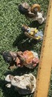 Vintage Black Americana Figurines Angel Child Lot Of 4 Resin 2-3   