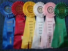 Virginia Roanoke Valley Horse Show Ribbons Awards Equestrian Events