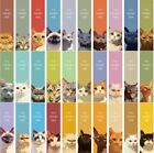 30 Pc Bookmark Set Cats You Pawsed Here Whimsical 1 5  X 6  New Free Ship 269