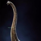 New 1 35 Brachiosaurus Long-neck Dinosaur Model Statue Collection Display Huge