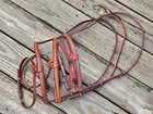Cwd Fancy Stitched Hunter Flash Caveson Noseband - Size 3 -new - Color Choice