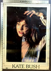 Kate Bush     Rare Original Vtg Early 1980s Uk Splash Personality Poster 25 X 35