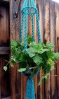 Macrame Plant Hanger large Turquoise 54  Long-bird Cage Top-solid Twist Knot
