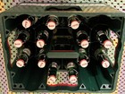 13 Grolsch Green Glass Beer Bottles W  Porcelain Swing Tops  plastic Carry Case