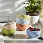 Staub Ceramic 6-pc 4 75-inch Small Universal Bowl Macaron Pastel Colors