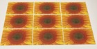 Postcard Lot Of 9 Sunflower Dream Yellow Floral Motivational Travel Post Card