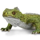 Tuatara Reptile Figure - Hand Painted   Collectible Toy - Safari Ltd 102503