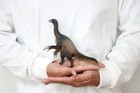 Pnso 65 Therizinosaurus Qingge Dinosaur Model Therizinosauridae Animal Decor Toy