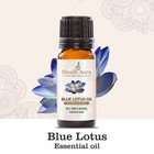 Blue Lotus Absolute Essential Oil - 100  Pure And Natural - Therapeutic Grade