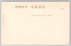 Dominica West Indies Waterfall Mountain Gorge Postcard C1900s