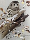 Barred Owl Mc Cormick   s Creek State Park Indiana Wm  Zimmerman Series Print 1985